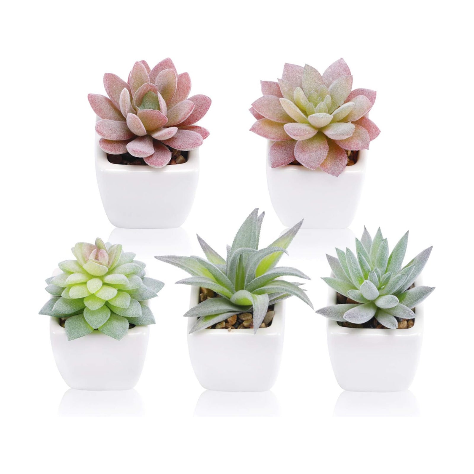 Artificial Succulent Plants / Set of 5