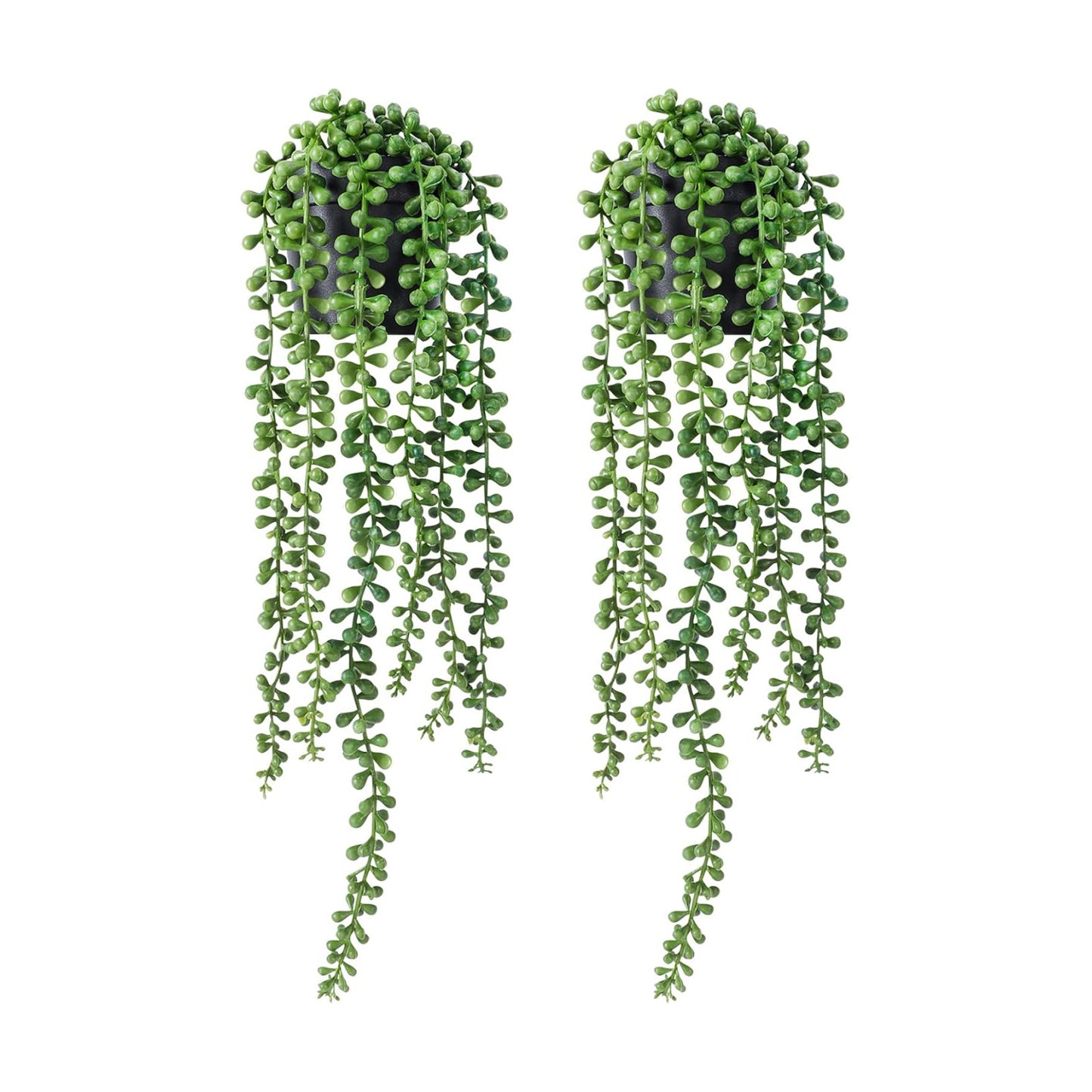 Faux Plants Indoor in Black Pots / Green / Set of 2
