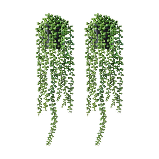Faux Plants Indoor in Black Pots / Green / Set of 2