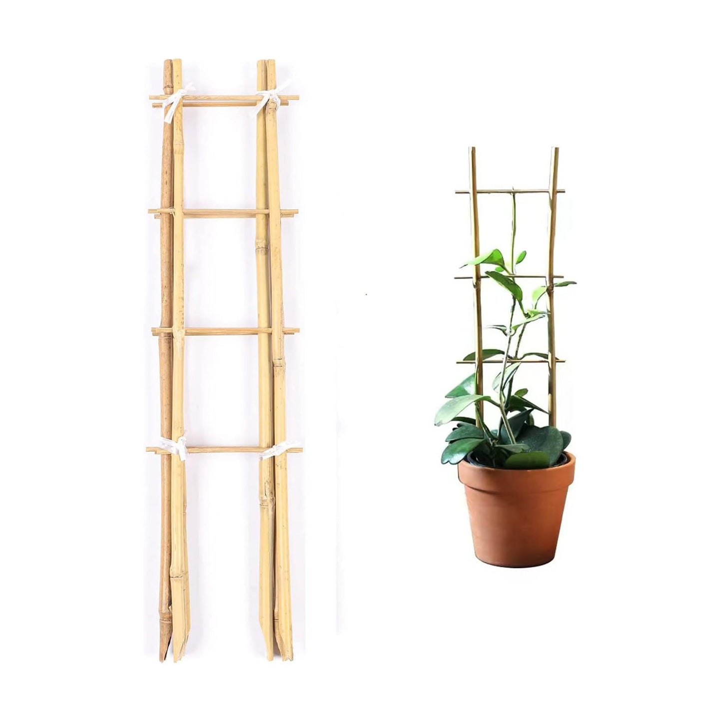 Cambaverd Indoor Plant Trellis, 24in Ladder-Shaped Bamboo Trellis 3 Pack | Natural plant trellis for potted plants