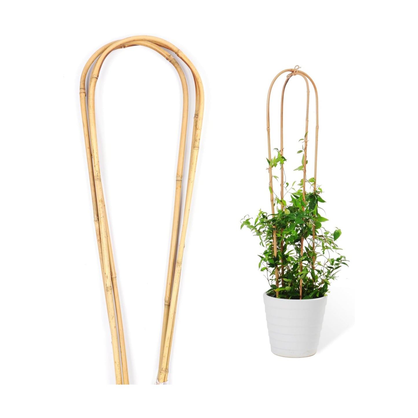 Cambaverd Bamboo Trellis 3 Feet, 3 Pack Arch Plant Trellis Indoor Outdoor | Natural Large Garden Trellis for Climbing