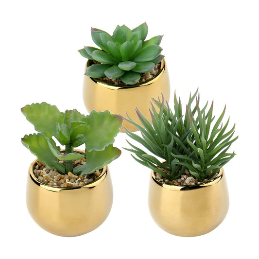 Small Artificial Succulents in Pots Realistic Faux Succulents Plants / Style 0 / Gold / Set of 3