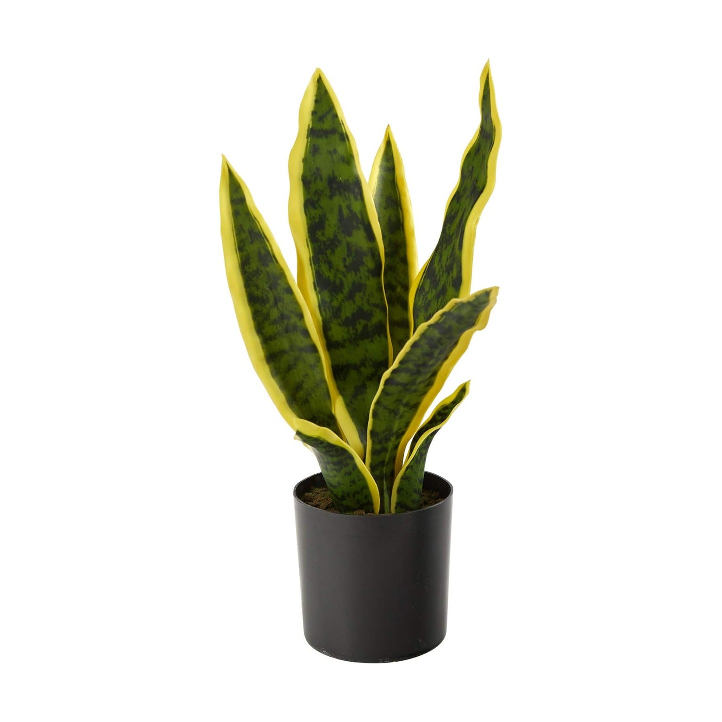 Faux Snake Plant / Yellow