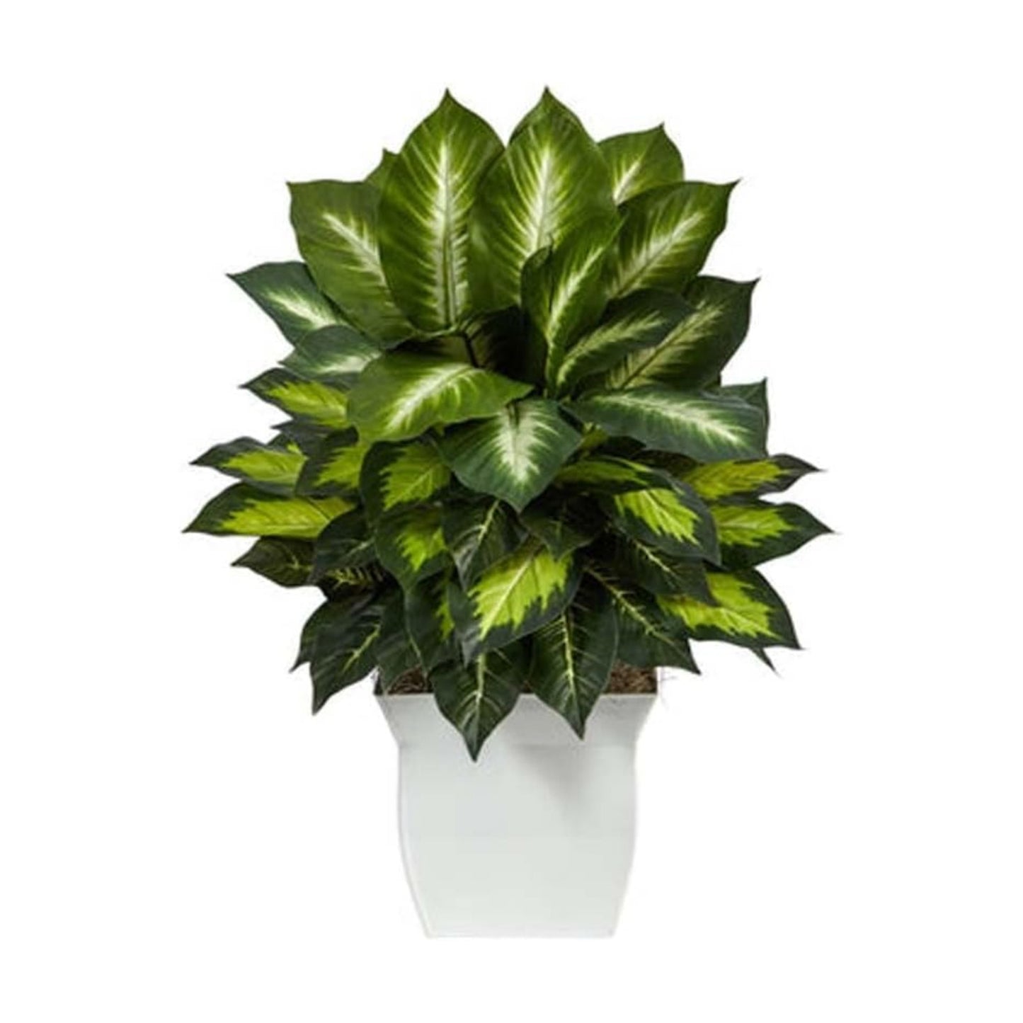 . Golden Dieffenbachia Artificial Plant in Metal Planter / White / 2 Inch