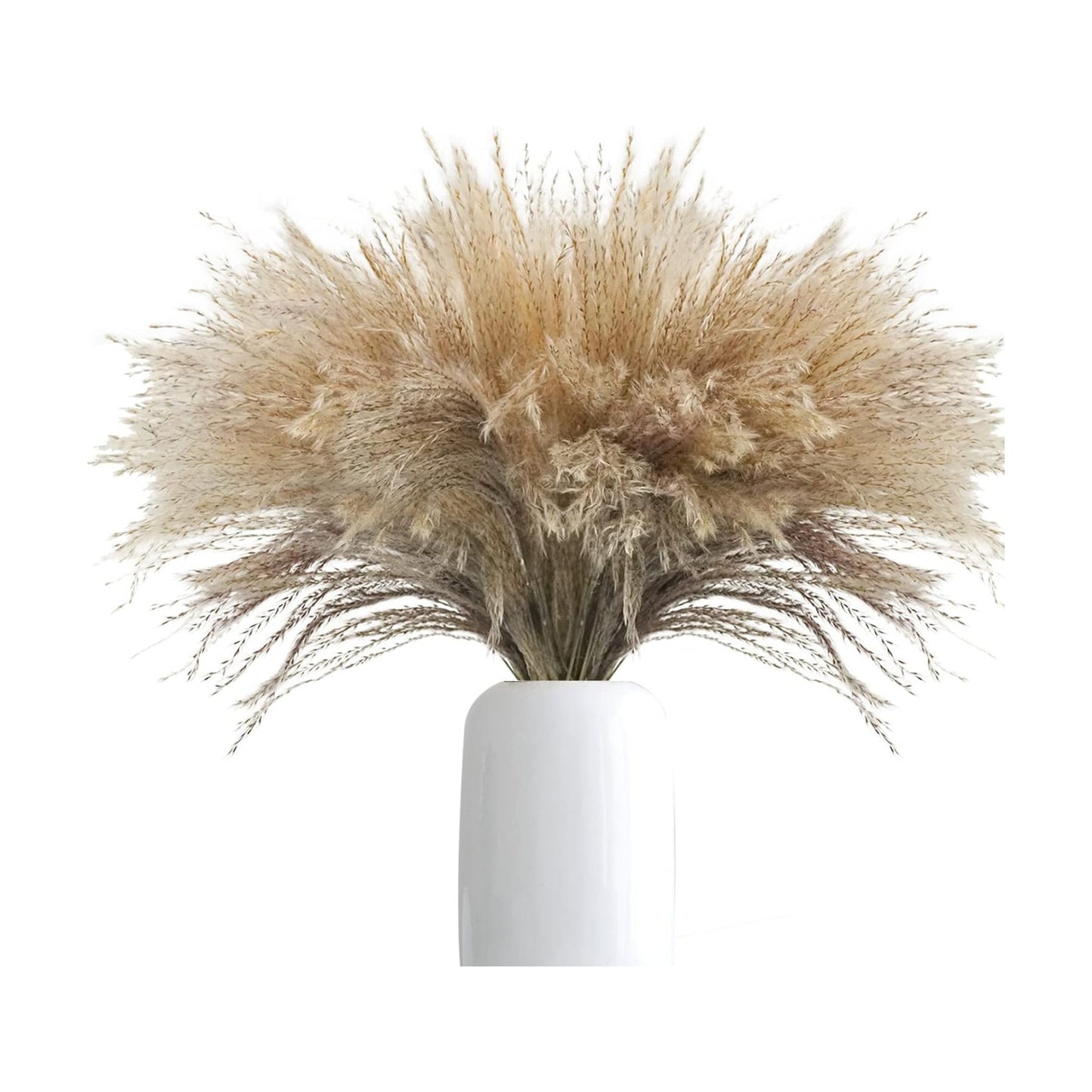 Plume Tall Dried Flowers Large Faux Reed / Dried Pampas Grass / Natural / 17 Inch / Set of 100