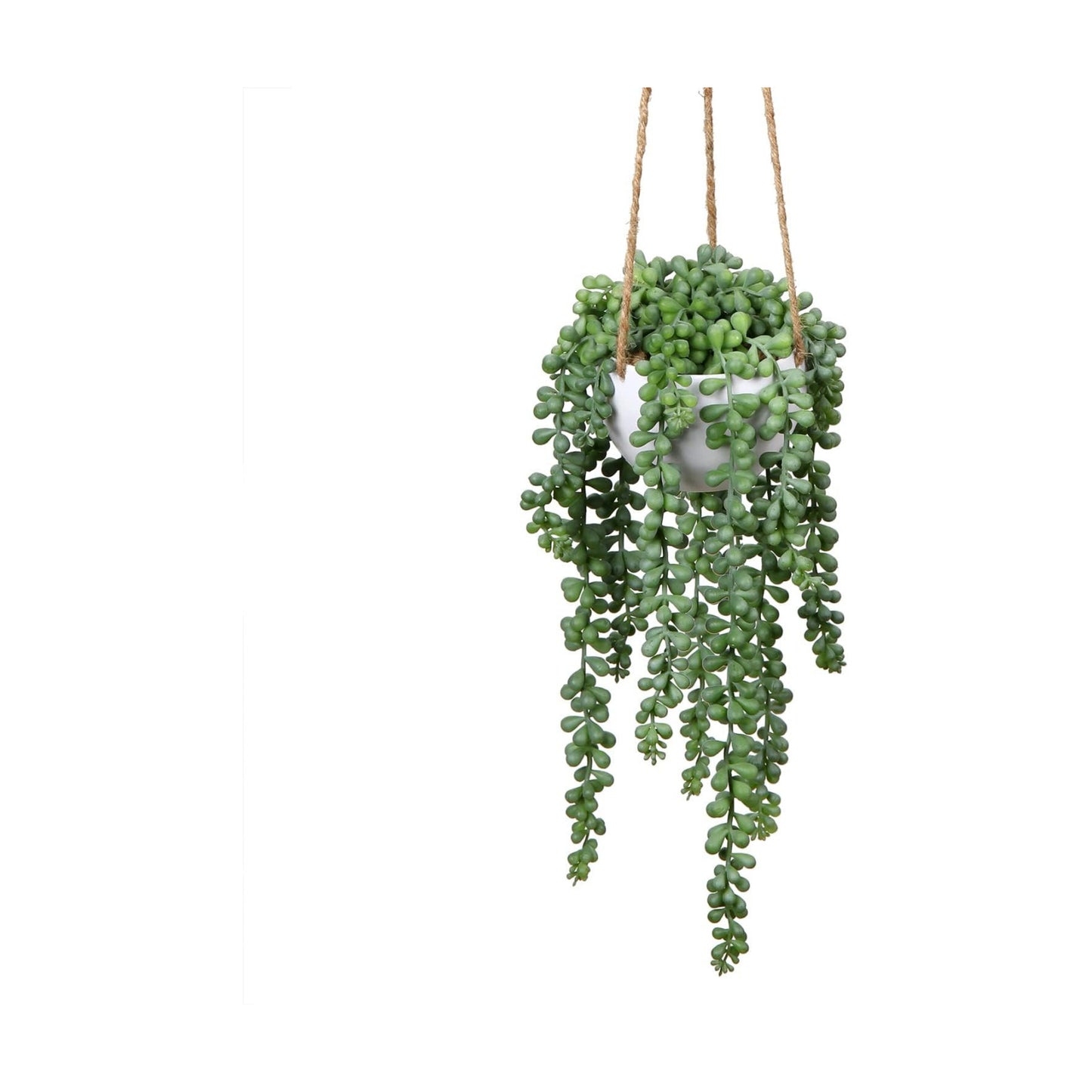 plants Fake Hanging / String of Pearl