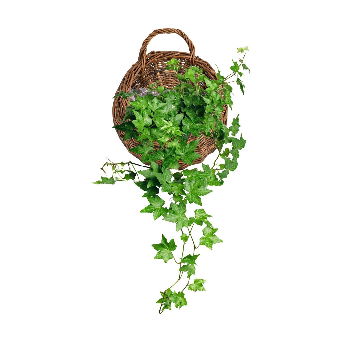 Wicker Handed Storage Basket / Medium / Natural
