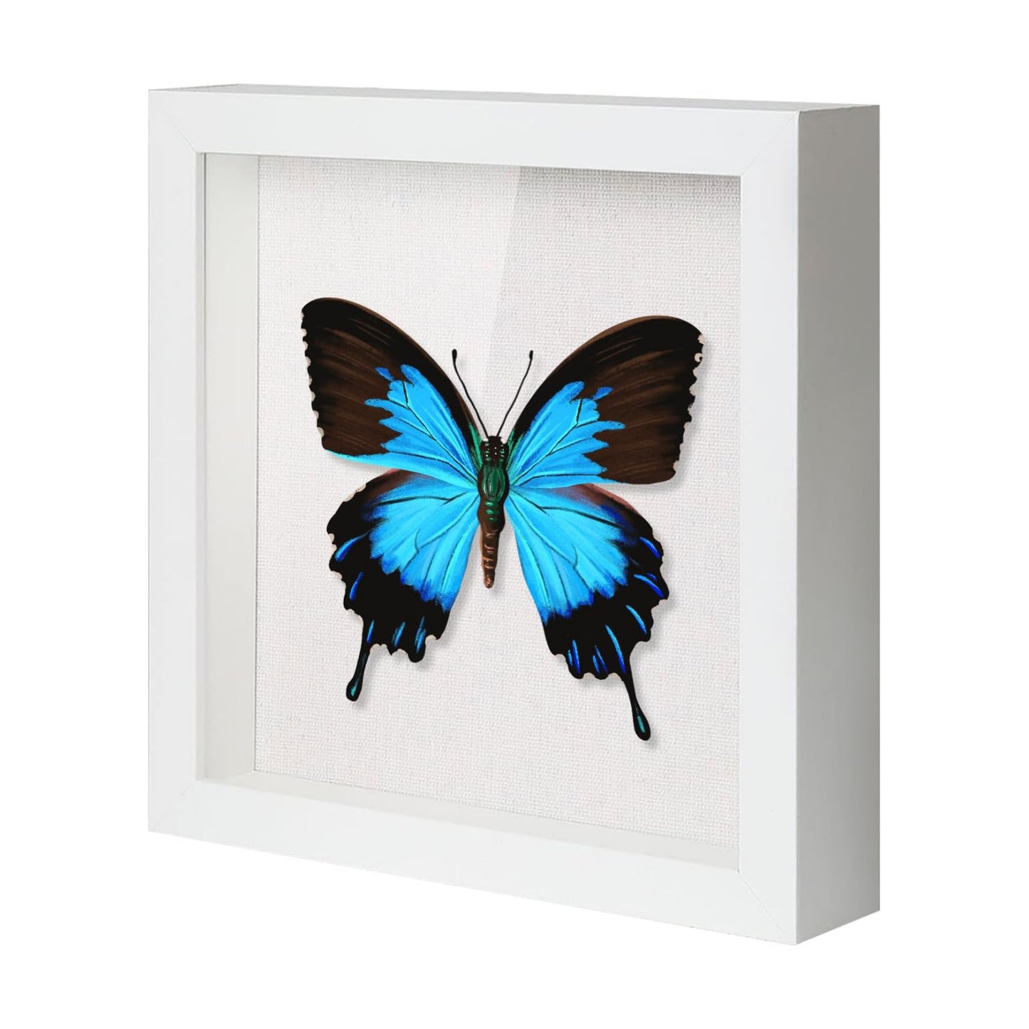 QDSSDECO 12x12 Shadow Box Frame with Linen Backboard & Real Glass, Wood Display Case, Deep Showcase to Hang The Photos