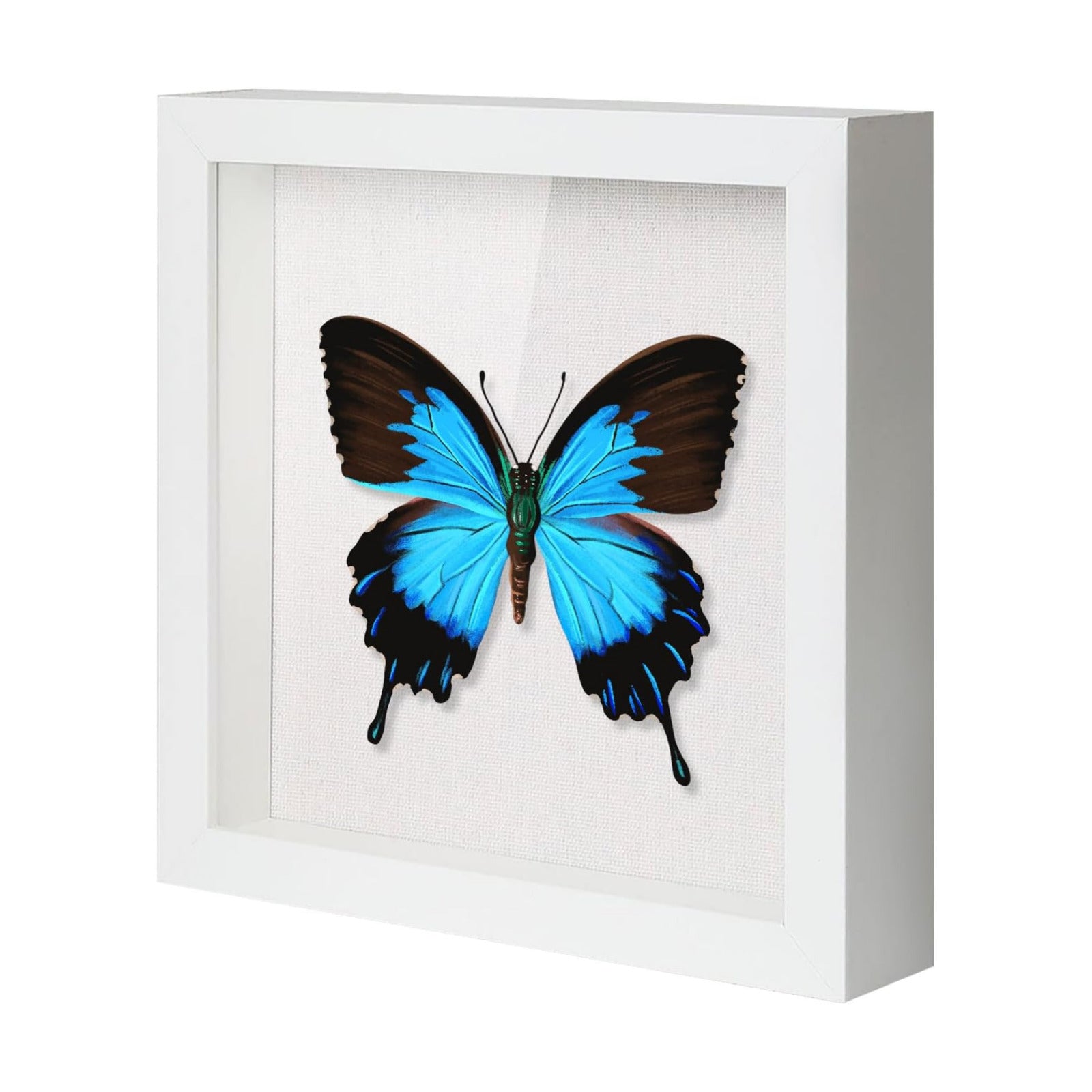 QDSSDECO 12x12 Shadow Box Frame with Linen Backboard & Real Glass, Wood Display Case, Deep Showcase to Hang The Photos