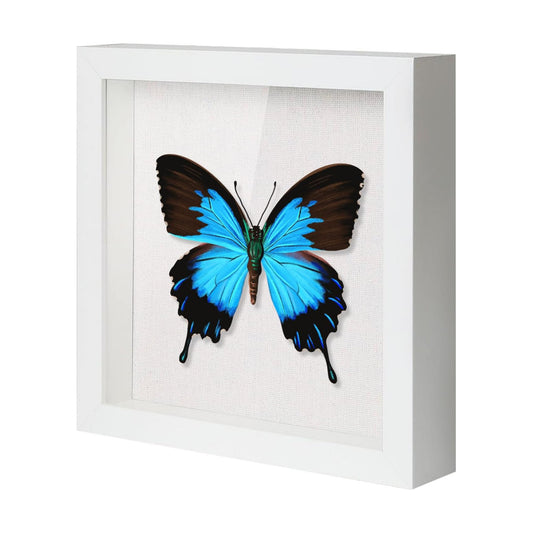 QDSSDECO 12x12 Shadow Box Frame with Linen Backboard & Real Glass, Wood Display Case, Deep Showcase to Hang The Photos
