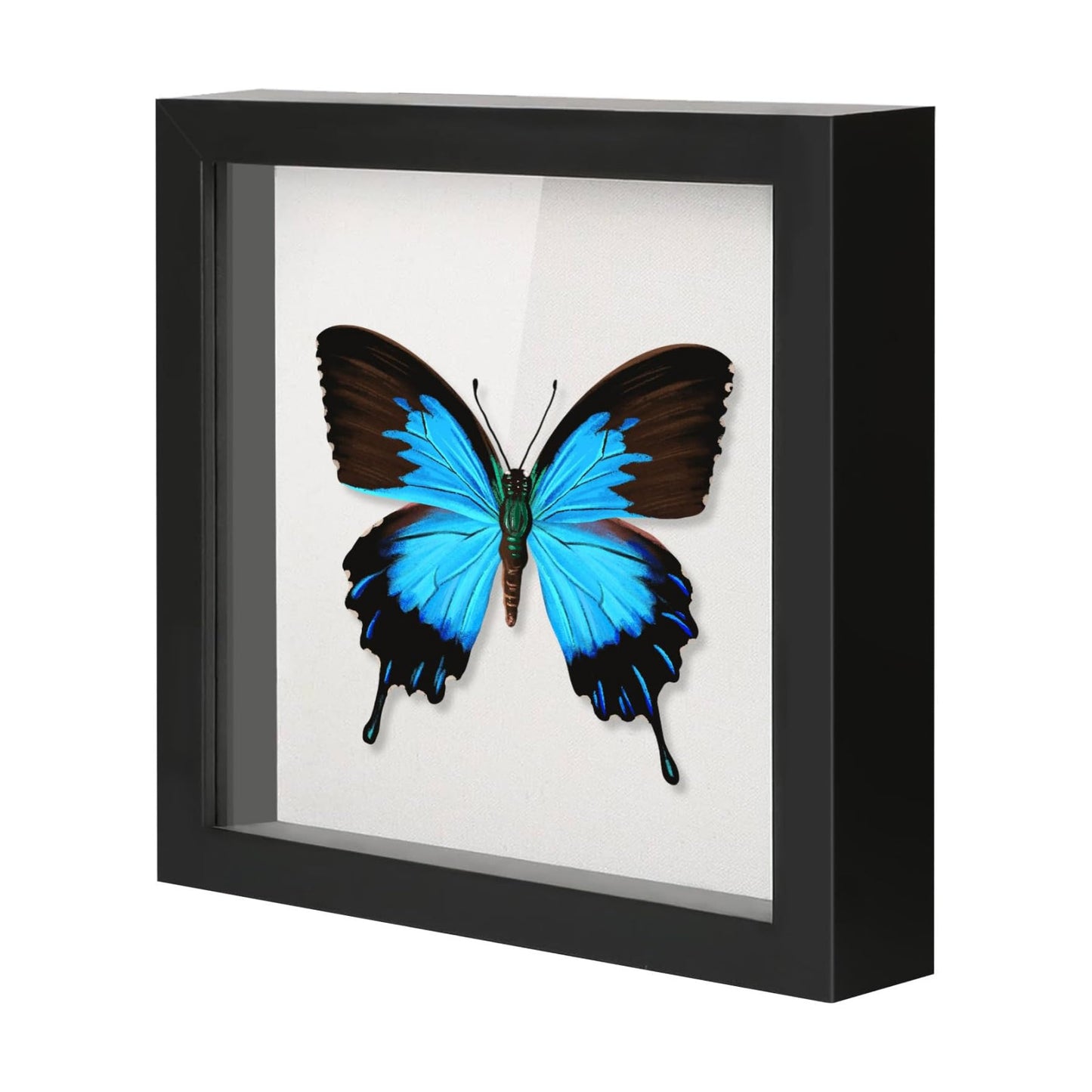 QDSSDECO 12x12 Shadow Box Frame with Linen Backboard & Real Glass, Wood Display Case, Deep Showcase to Hang The Photos