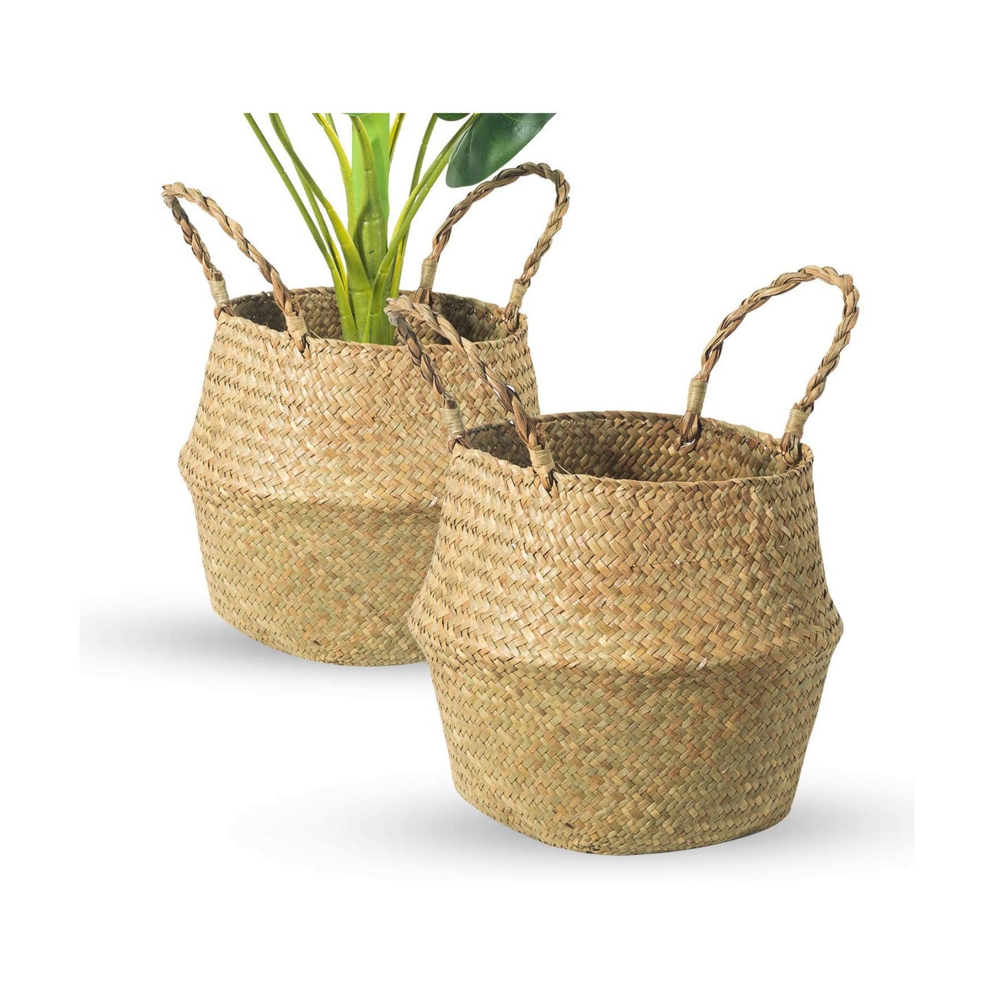 Seagrass Belly Basket / M / Set of 2