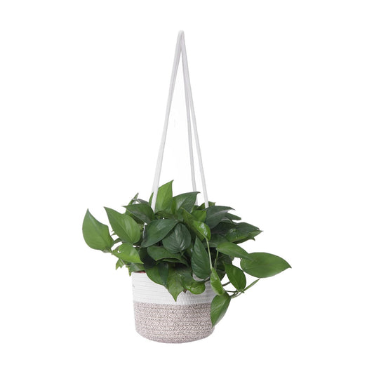 Hanging Planter Basket Jute Rope Woven Plant Hangers Indoor Hanging Plant Holder Up / White & Brown