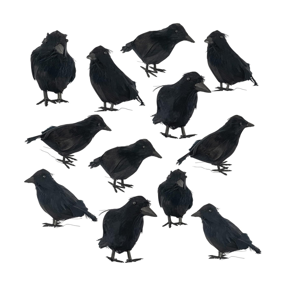 FUNPENY Halloween Black Feathered Crows, Lifelik Halloween Decoration Birds with Real Feather (12 Pack)