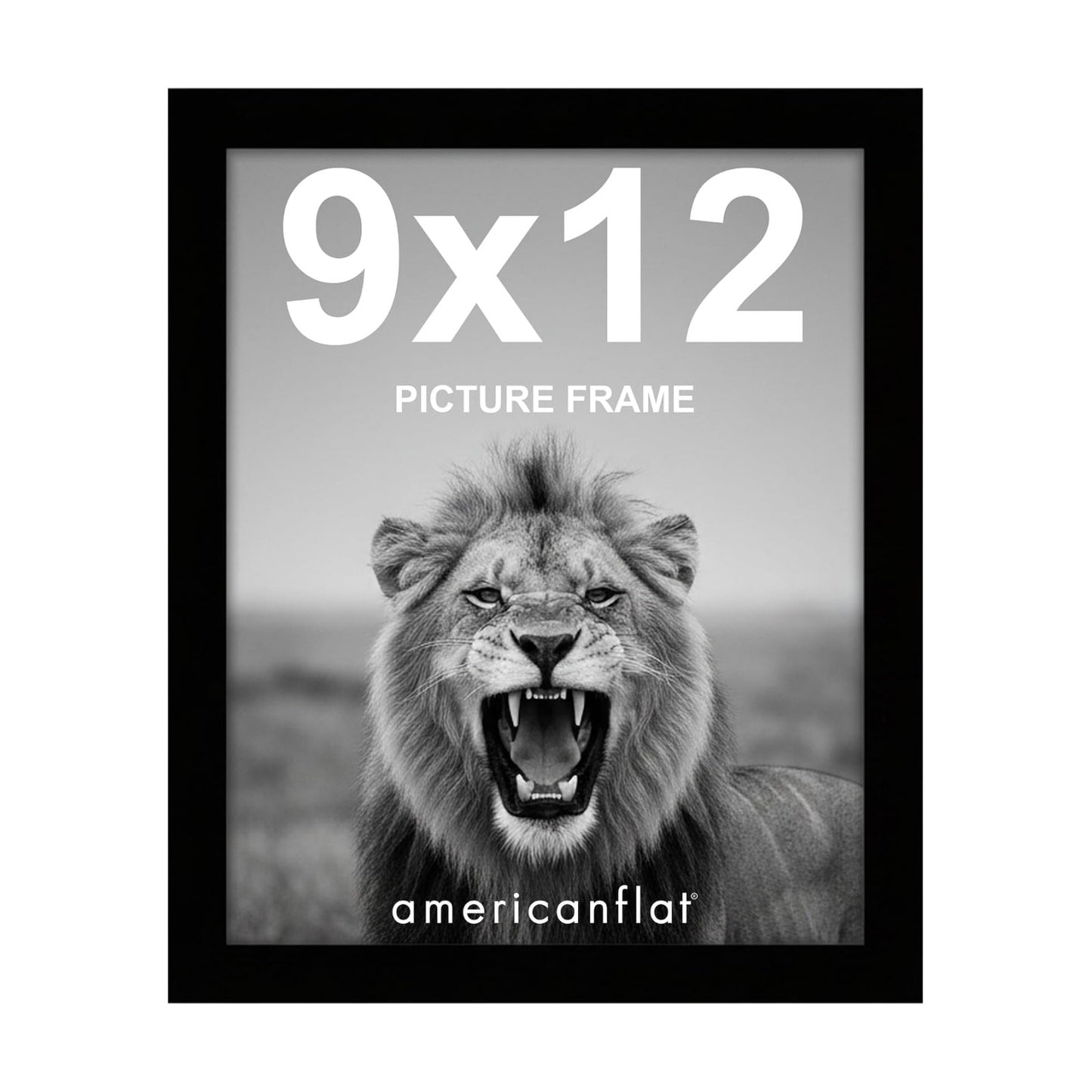 Picture Frame / Gallery-Style Frames Made / 9 x 12 / Black