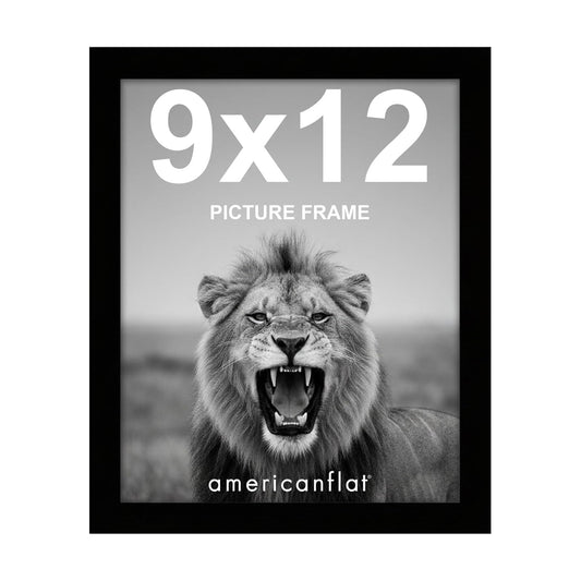 Picture Frame / Gallery-Style Frames Made / 9 x 12 / Black