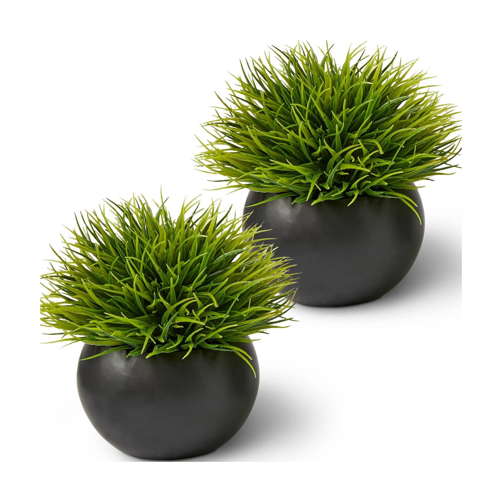 Fake Succulents Plants Artificial in Ceramic Pots Realistic Faux Succulents / Round / Set of 2