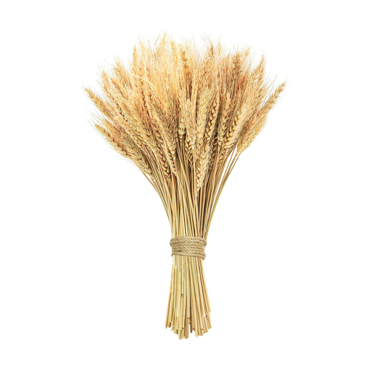 17.7 inches Dried Wheat Stalks, 100 Stems Dried Flowers 100% Natural Wheat for Home Kitchen Office Flowers Arrangement Wedding Table Farmhouse Boho Party Fall Décor