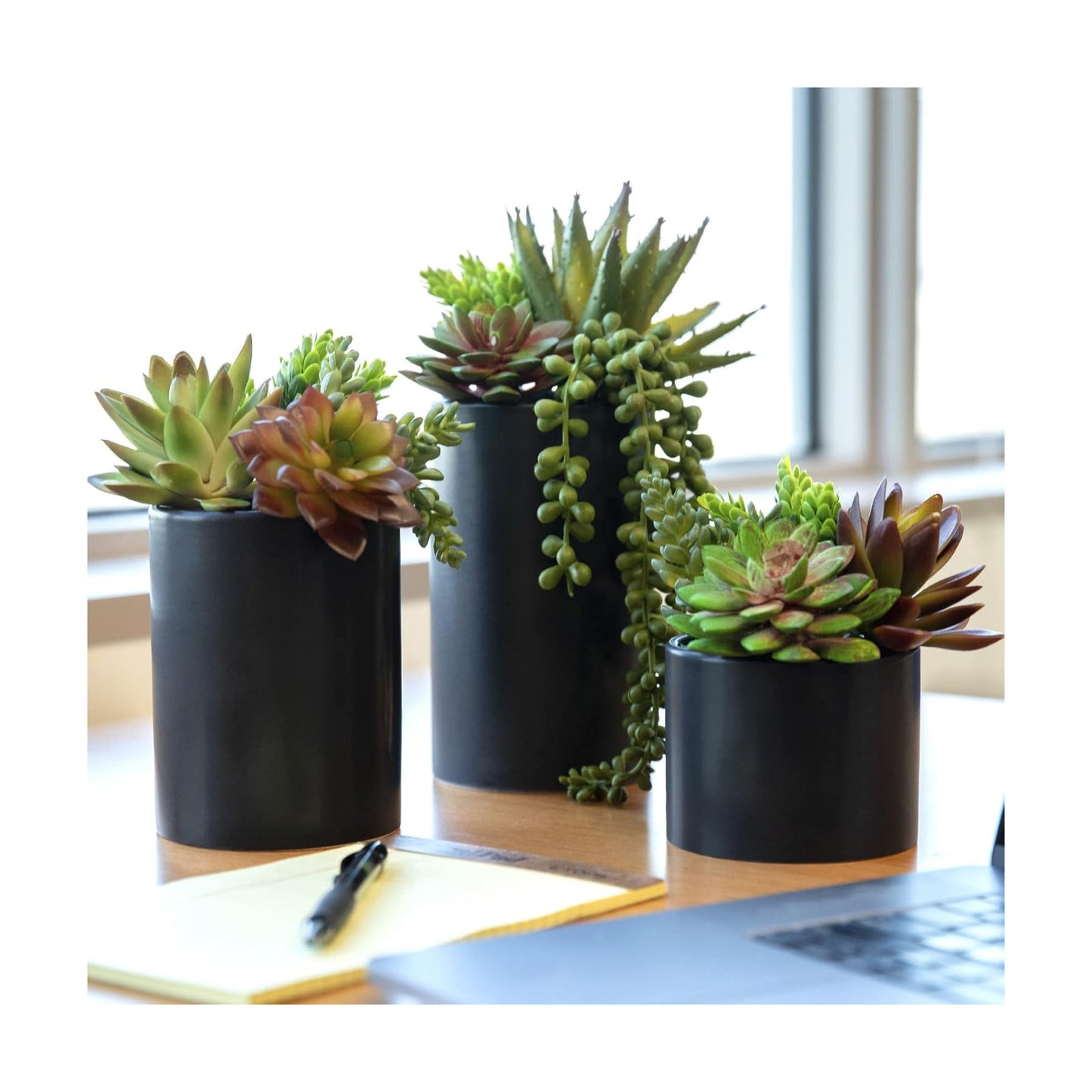 Fake Succulents Plants Artificial in Ceramic Pots Realistic Faux Succulents / Assorted / Set of 3