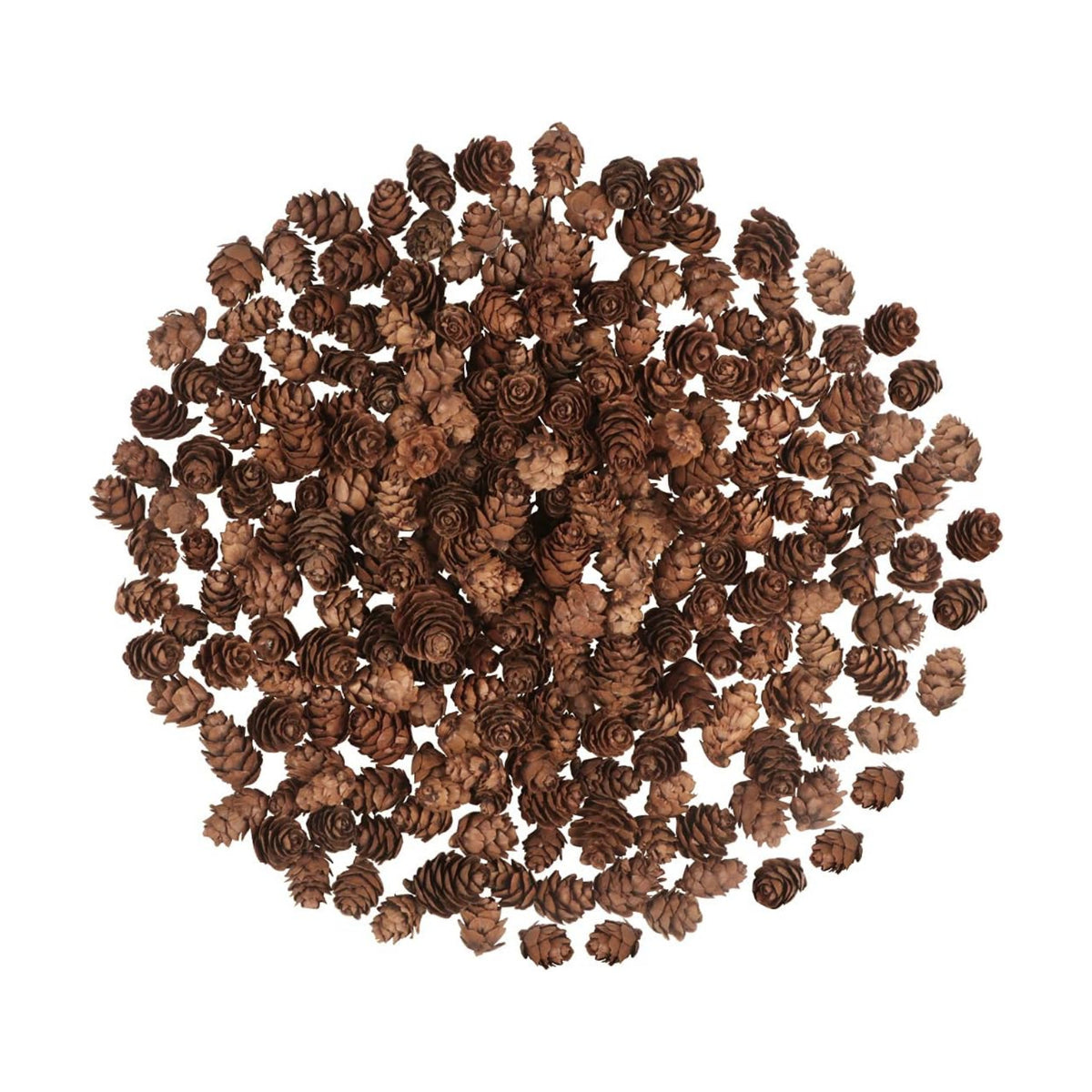 200PCS Christmas Natural Pine Cones Mini Fall Decorations Pinecones Ornaments Bulk Small Pine Cones for DIY Crafts Thanksgiving Fall Winter Christmas Wedding Decor Vase Filler Decor