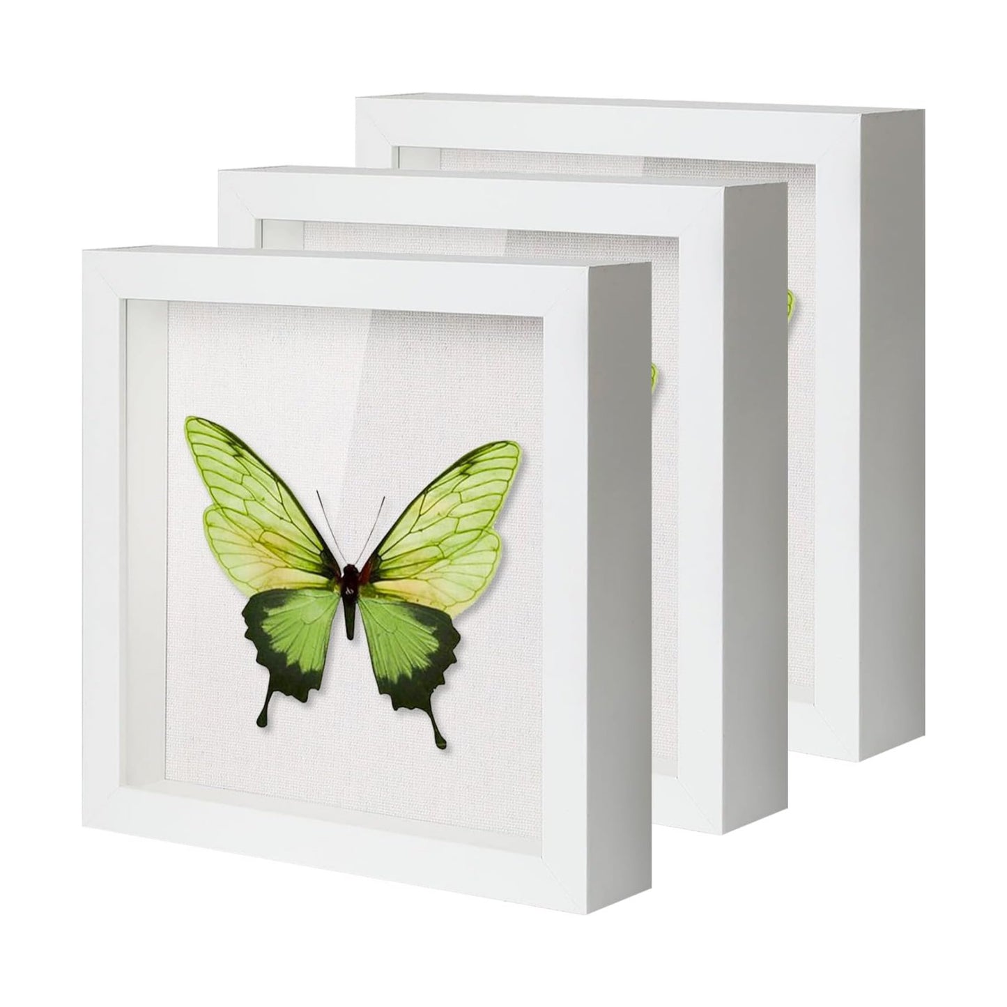 QDSSDECO 8" x 8" Shadow Box Display Case, Linen Back, 3 Pack White | Deep interior, real glass front, wall or tabletop