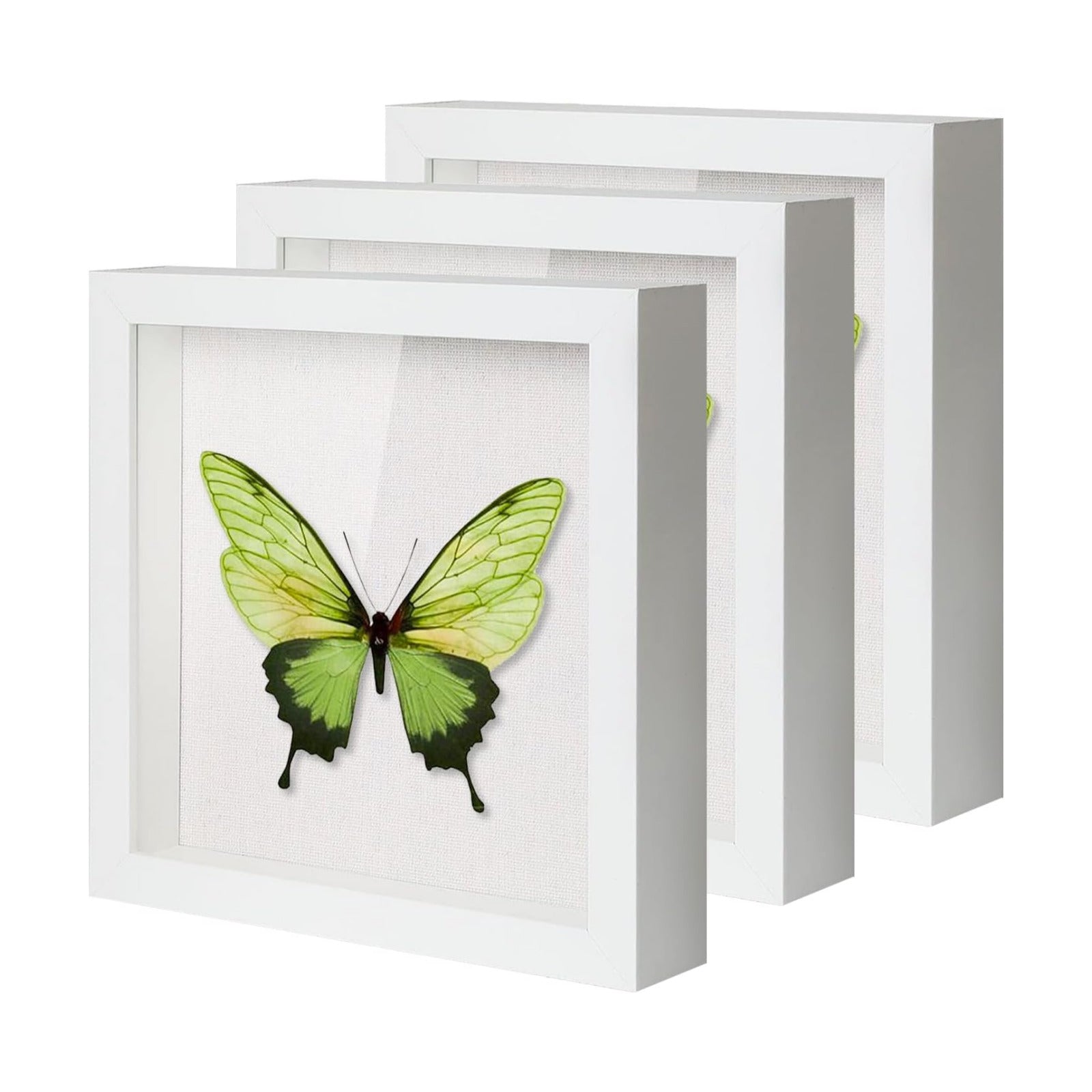 QDSSDECO 8" x 8" Shadow Box Display Case, Linen Back, 3 Pack White | Deep interior, real glass front, wall or tabletop