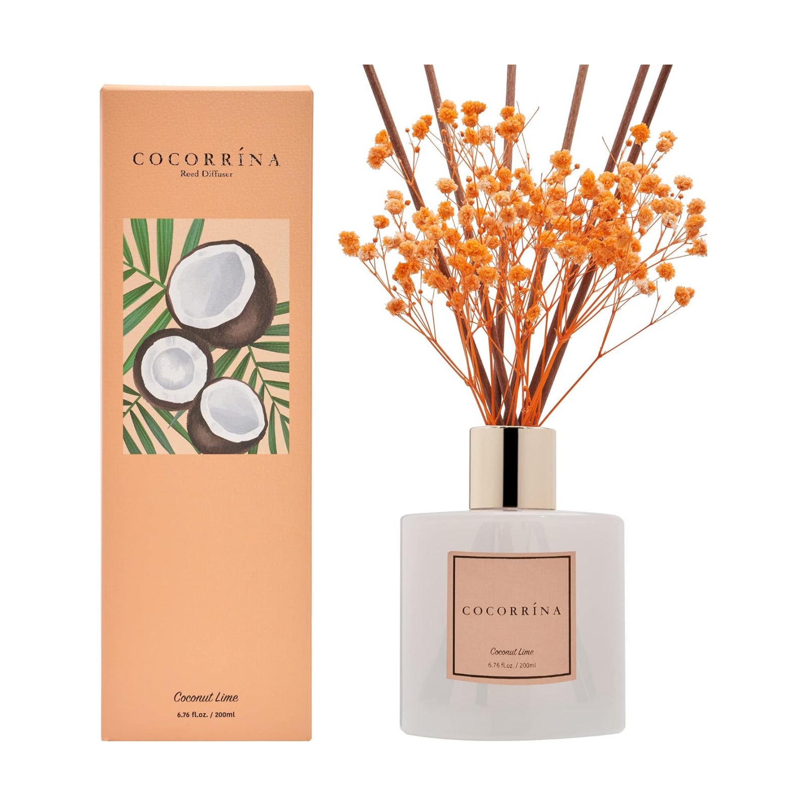 Cocorrína Premium Reed Diffuser Set with Preserved Baby's Breath & Cotton Stick Coconut Lime | 6.7oz Scent Fragrance