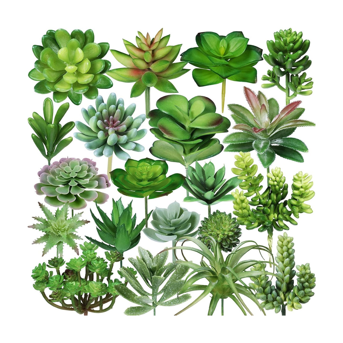 Assorted Artificial Succulents Plants Unpotted Small Cactus Echeveria Air Plant / Green / Set of 20