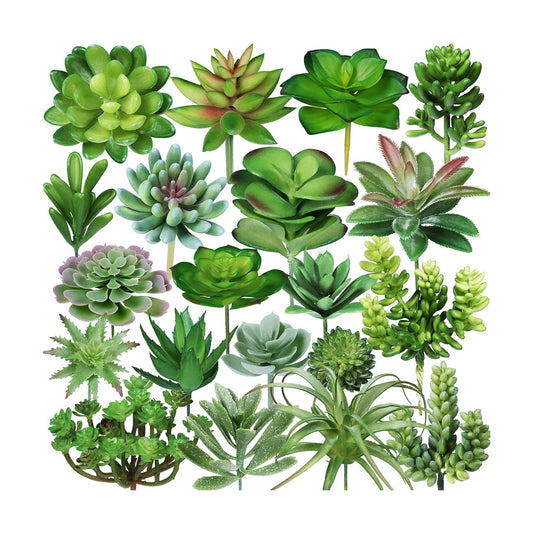 Assorted Artificial Succulents Plants Unpotted Small Cactus Echeveria Air Plant / Green / Set of 20
