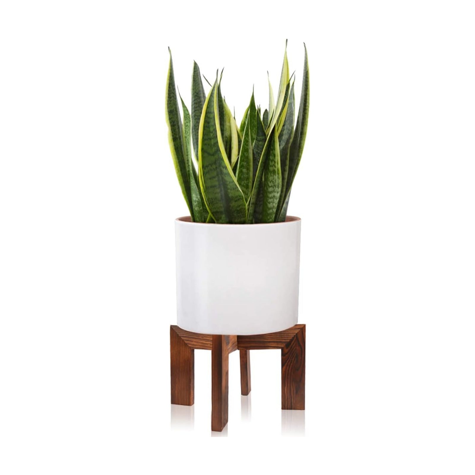 Wood Plant Stand / 1 Wood Grain