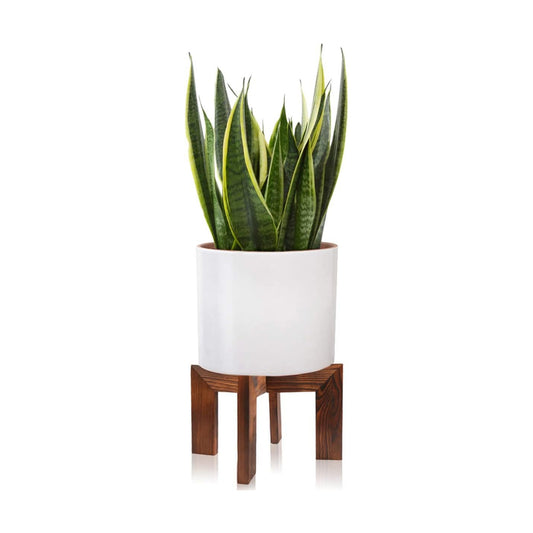 Wood Plant Stand / 1 Wood Grain