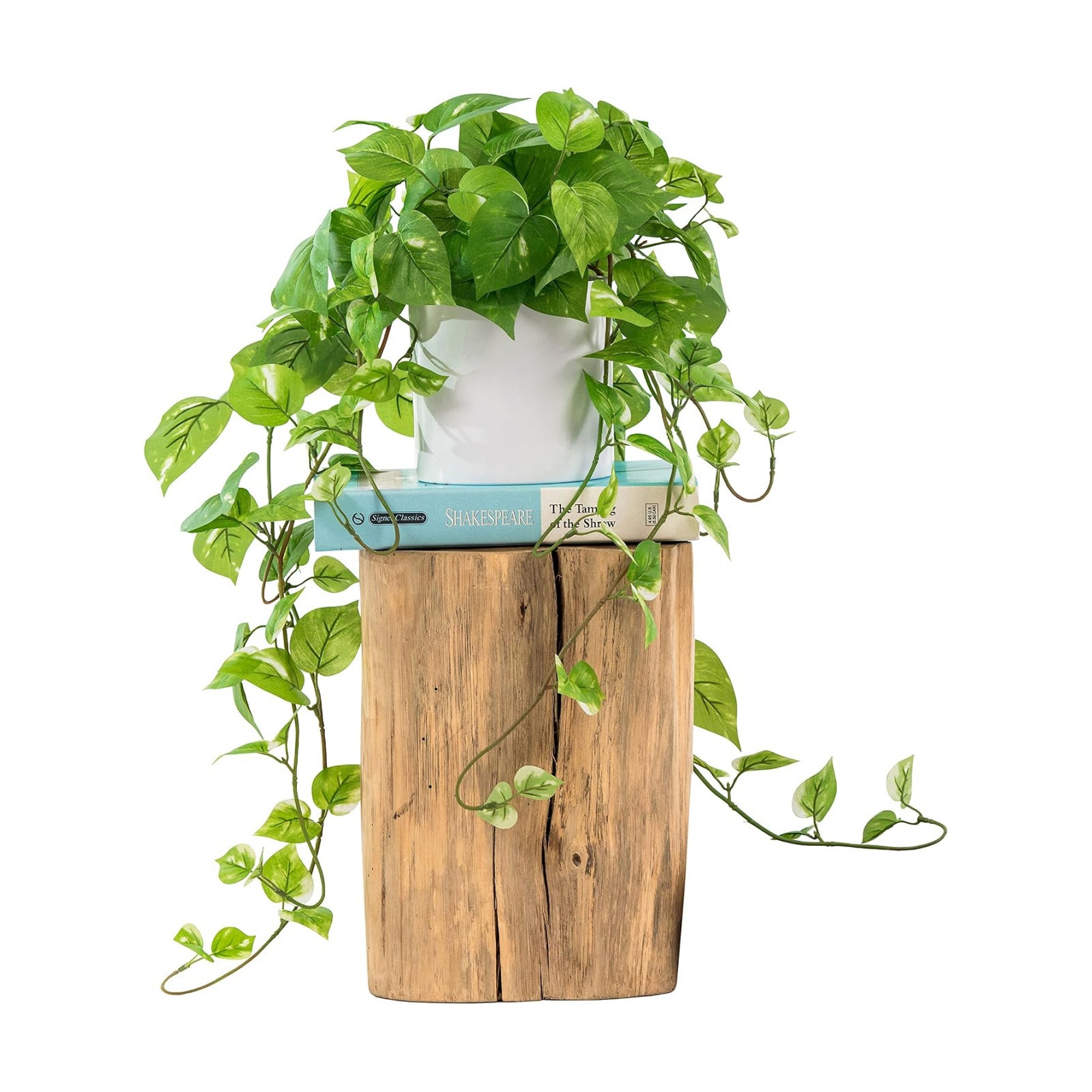 ROVALA Silk Plants / 01 Light Green
