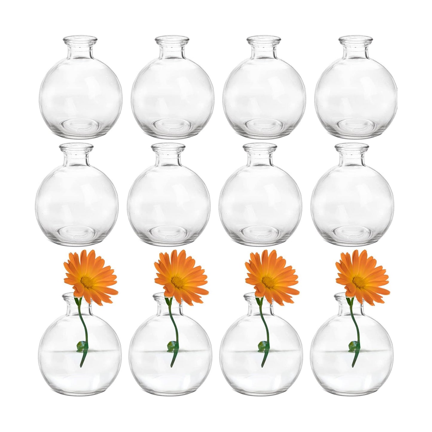 Small Glass Ball Bud Vase / Clear / Set of 12