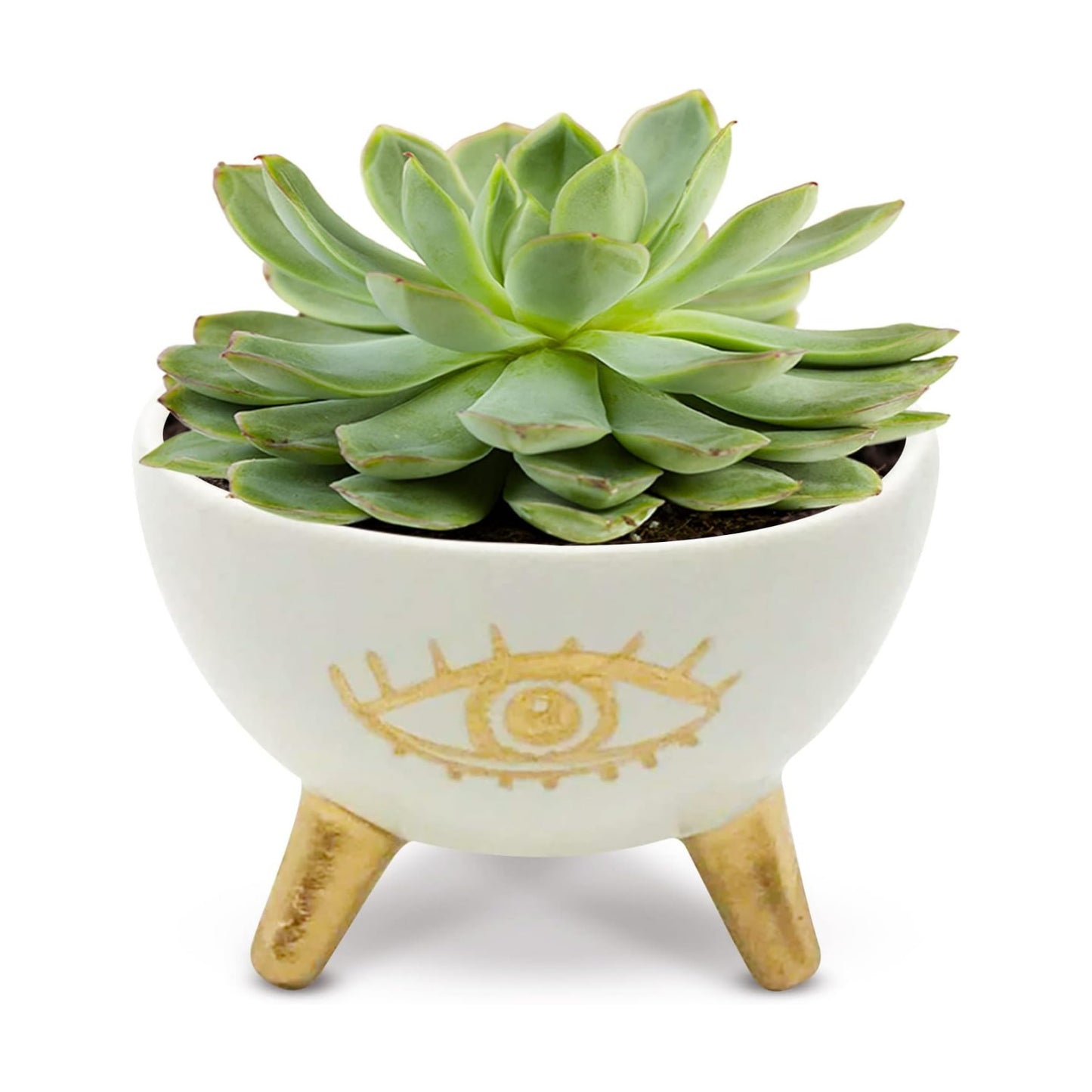Modern Table Top Planter and Ceramic Jewelry Dish / Gold