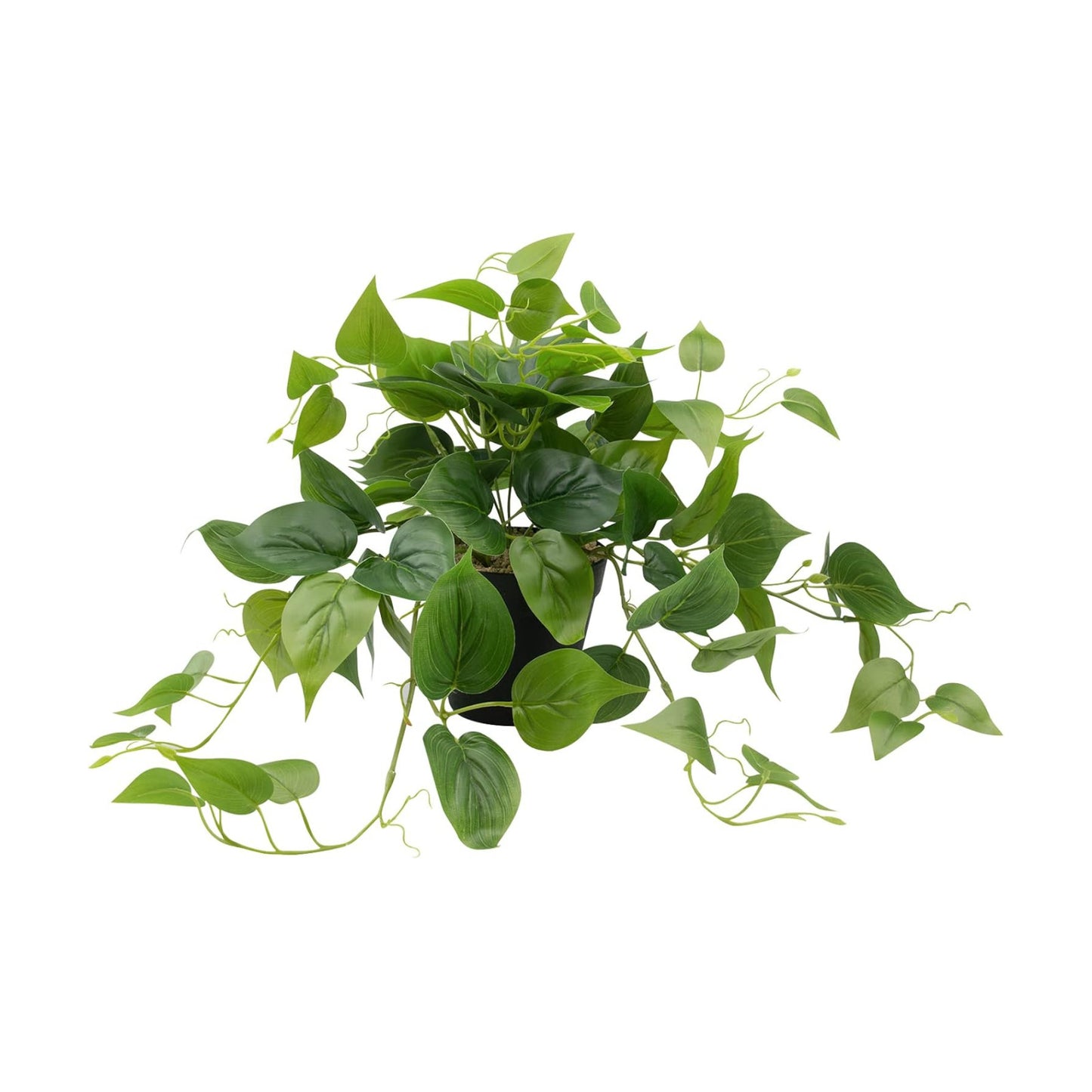 Artificial Scindapsus Aureus Fake Pothos Plants in Black Pots / 8 Inch-black Pot