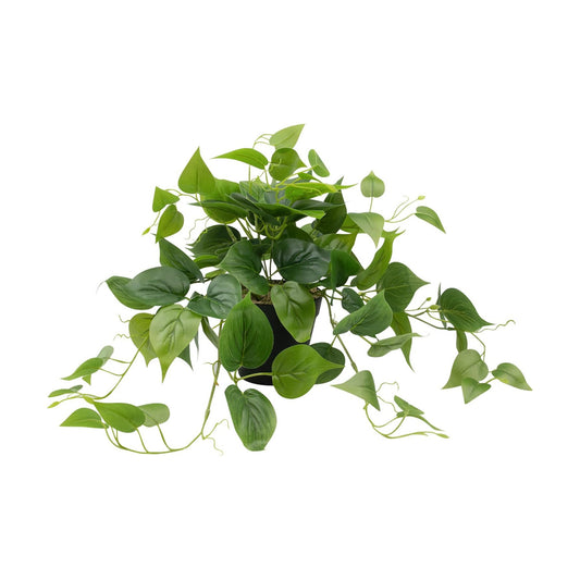 Artificial Scindapsus Aureus Fake Pothos Plants in Black Pots / 8 Inch-black Pot