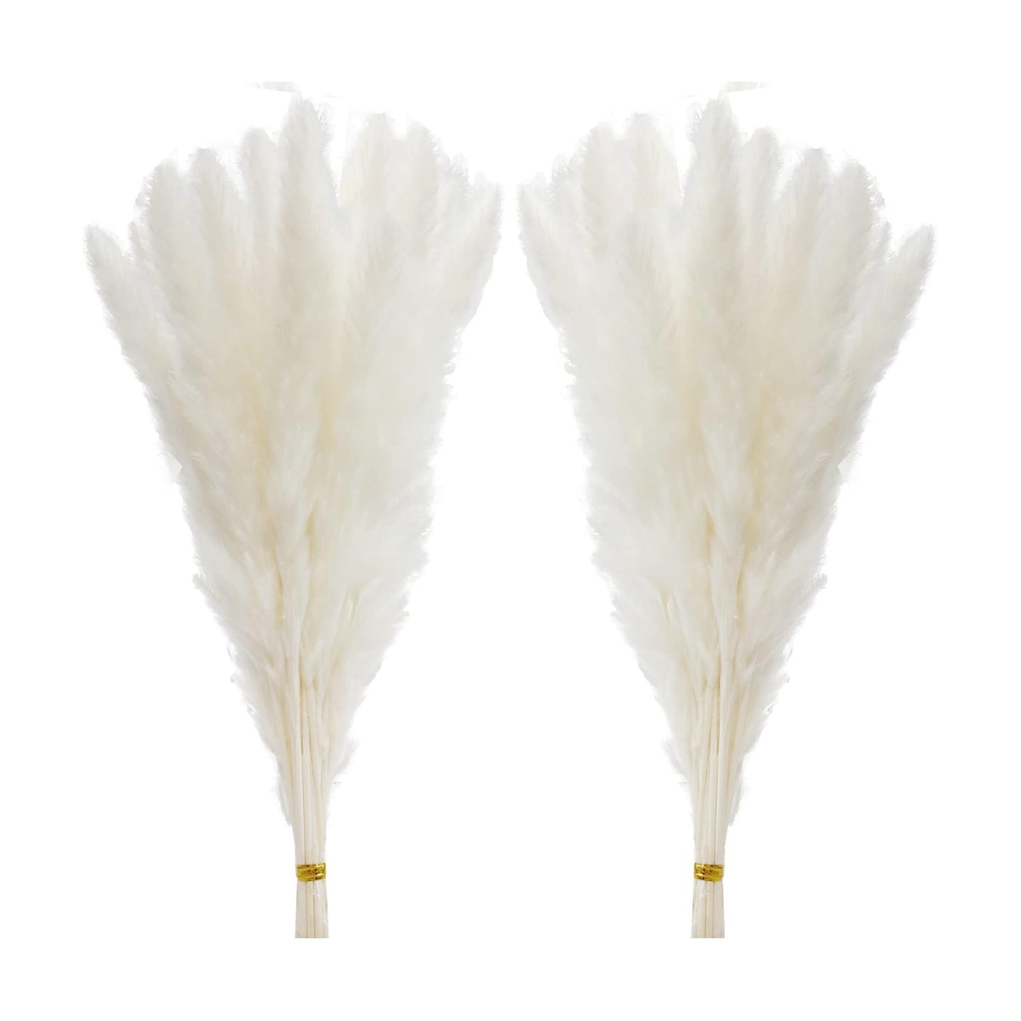 /45 cm Natural Dried Pampas Grass Branches Decor / White-pro / 17 Inch / Set of 60