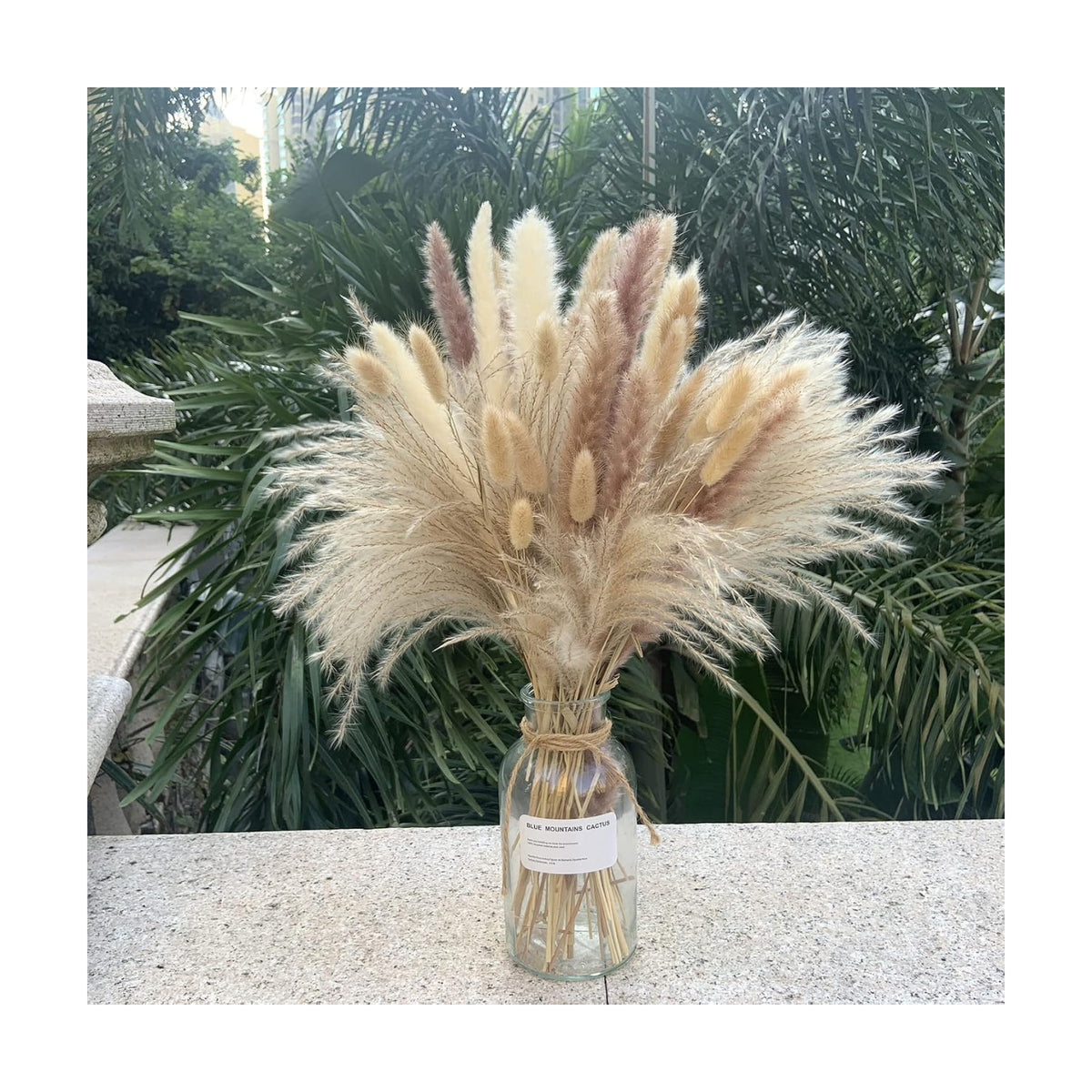 Pampas Grass Decor 110 pcs 17.5inch Natural Dried Pampas Grass-15Pcs White Pampas & 15Pcs Brown Pampas & 50Pcs Reed Grass& 30Pcs Bunny Tail Grass,Fluffy Dried Flowers for Home Decor Wedding Boho Decor
