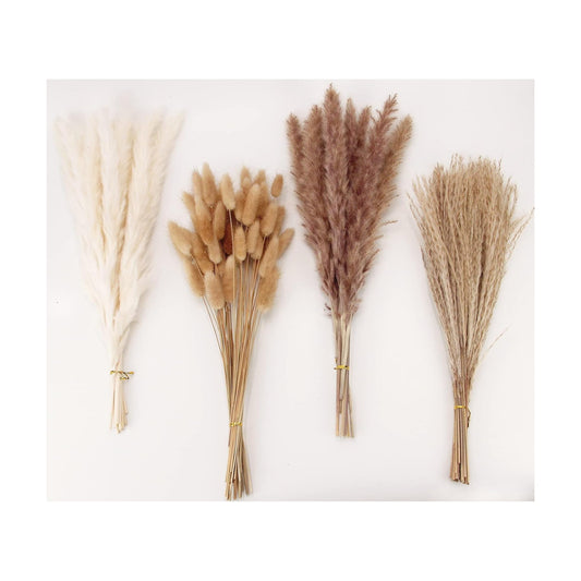 100 Stems Pampas Grass Contains Bunny Tails Dried Flowers / Set of 100