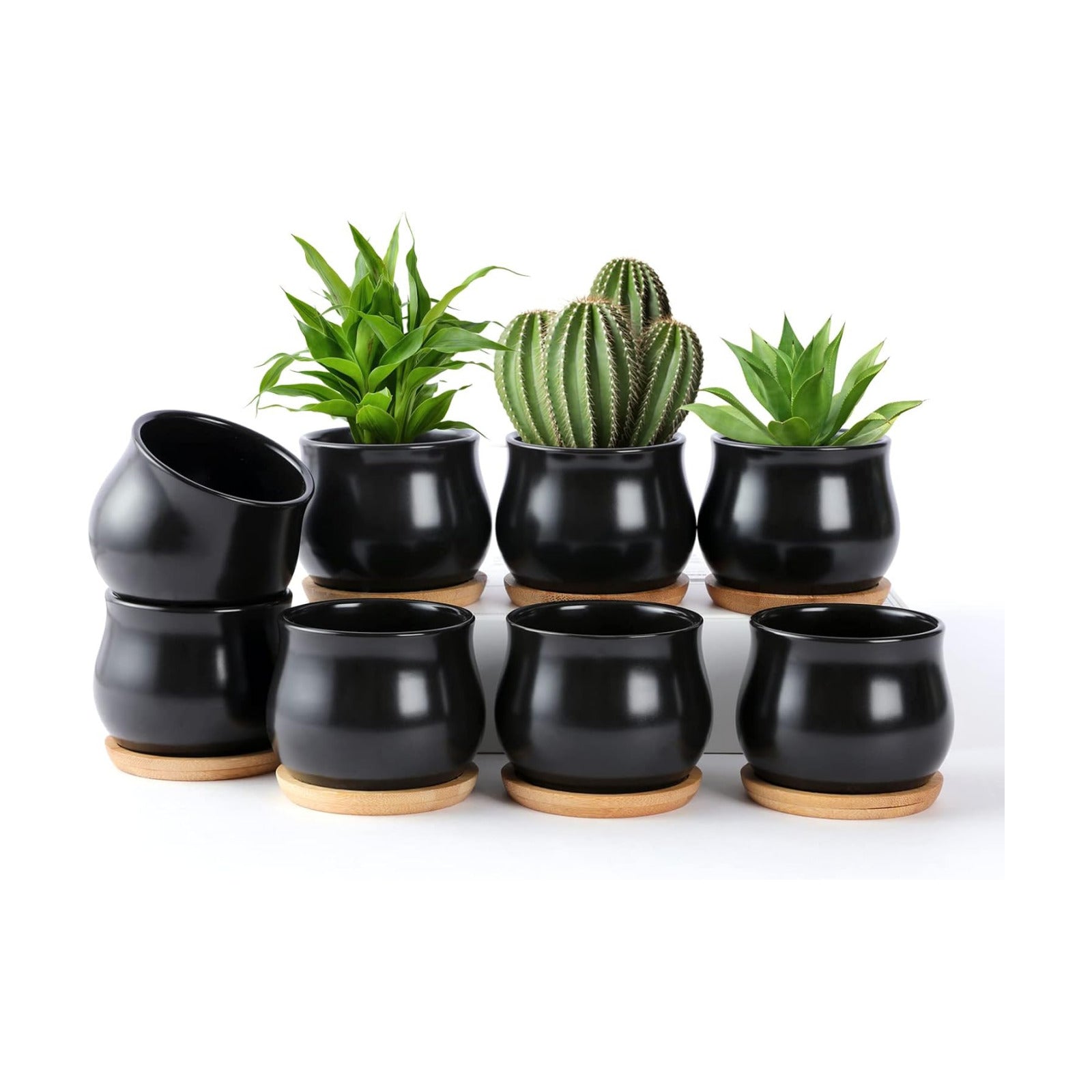 Matte Mini Ceramic Flower Planter Pot / Black / 2.6 Inch / Set of 8