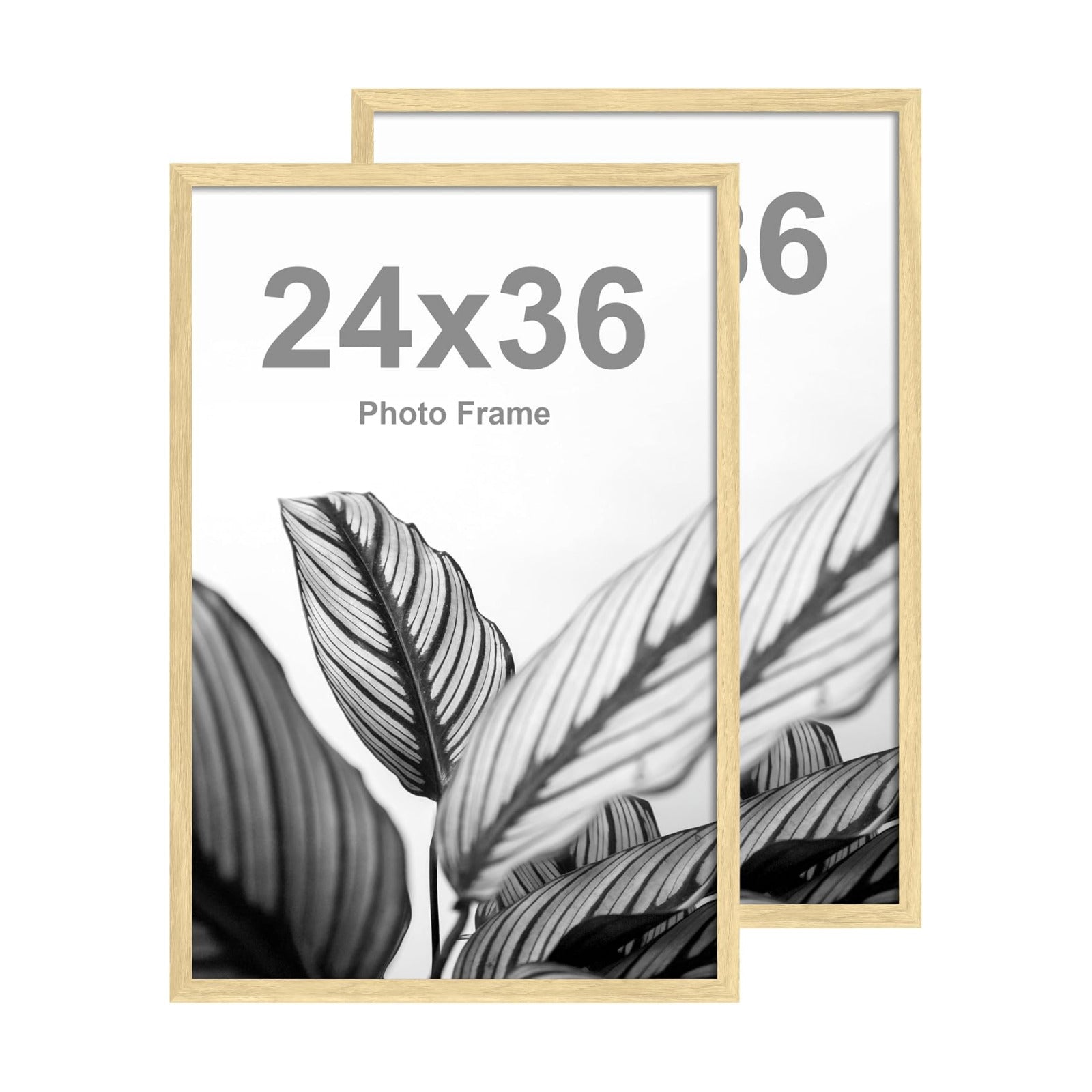 FrameWorks 24”x36” Wooden Poster Frame, Classic Natural Oak Matte Edged Frames w/Shatterproof Acrylic Glass, Photos