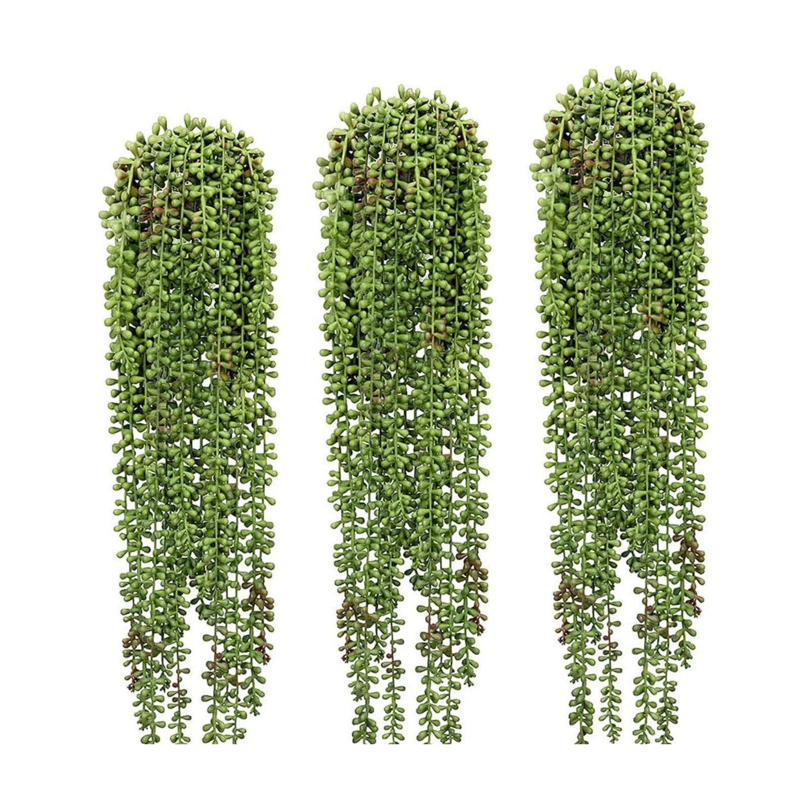 String of Pearls Plant Artificial Hanging Succulents Plants / Green / Set of 3