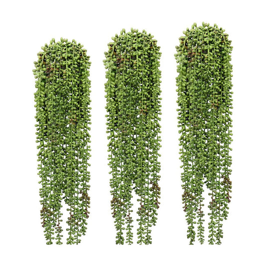 String of Pearls Plant Artificial Hanging Succulents Plants / Green / Set of 3