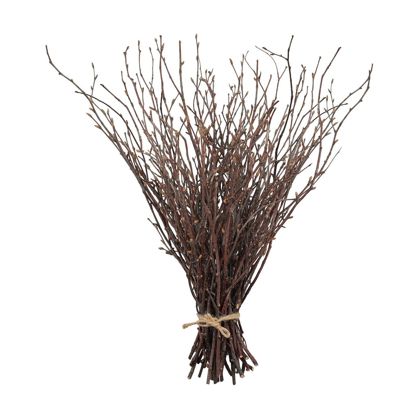 Birch Sticks for Vases / Birch-1 Bundle / Natural / 17 Inch / Set of 50