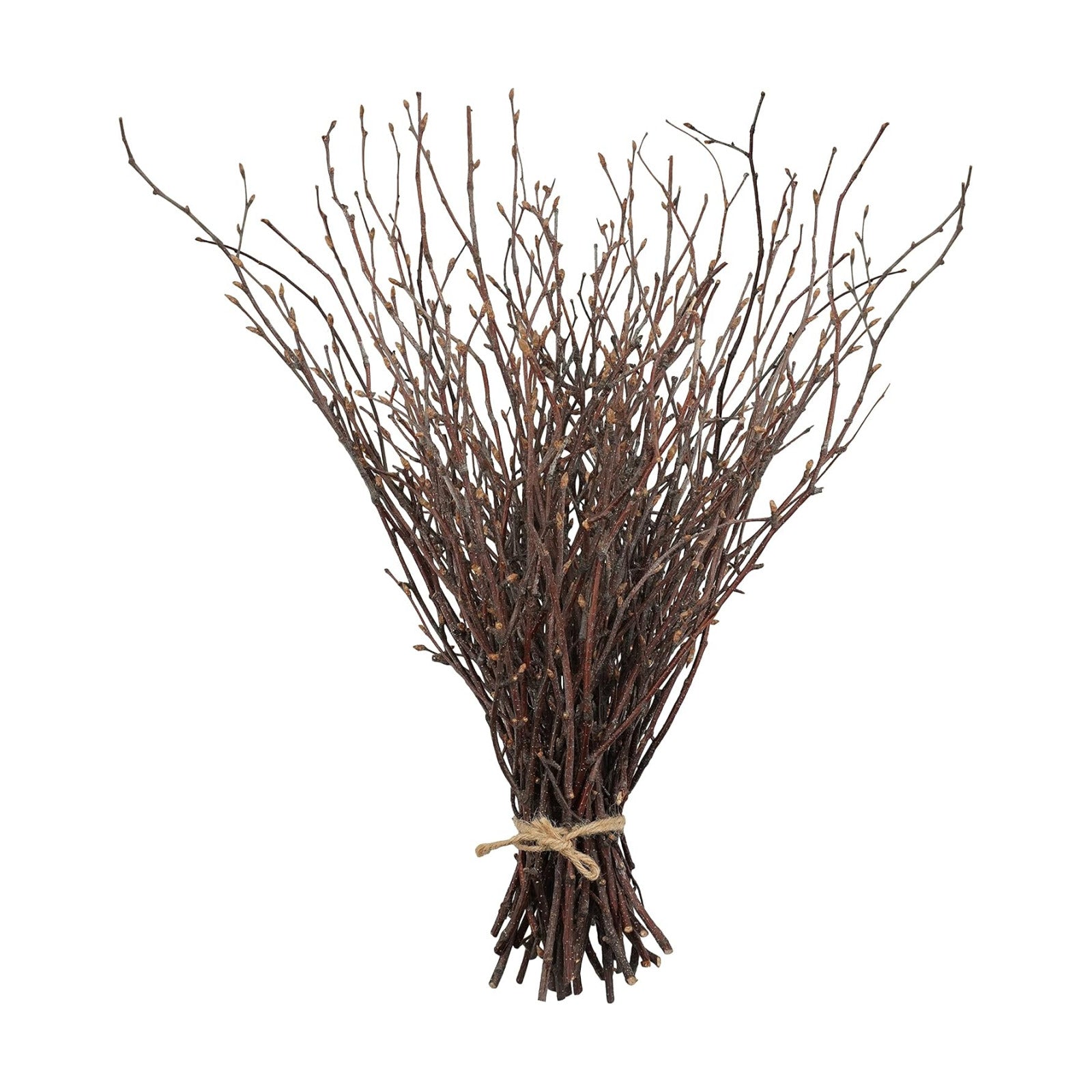 Birch Sticks for Vases / Birch-1 Bundle / Natural / 17 Inch / Set of 50