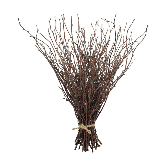 Birch Sticks for Vases / Birch-1 Bundle / Natural / 17 Inch / Set of 50