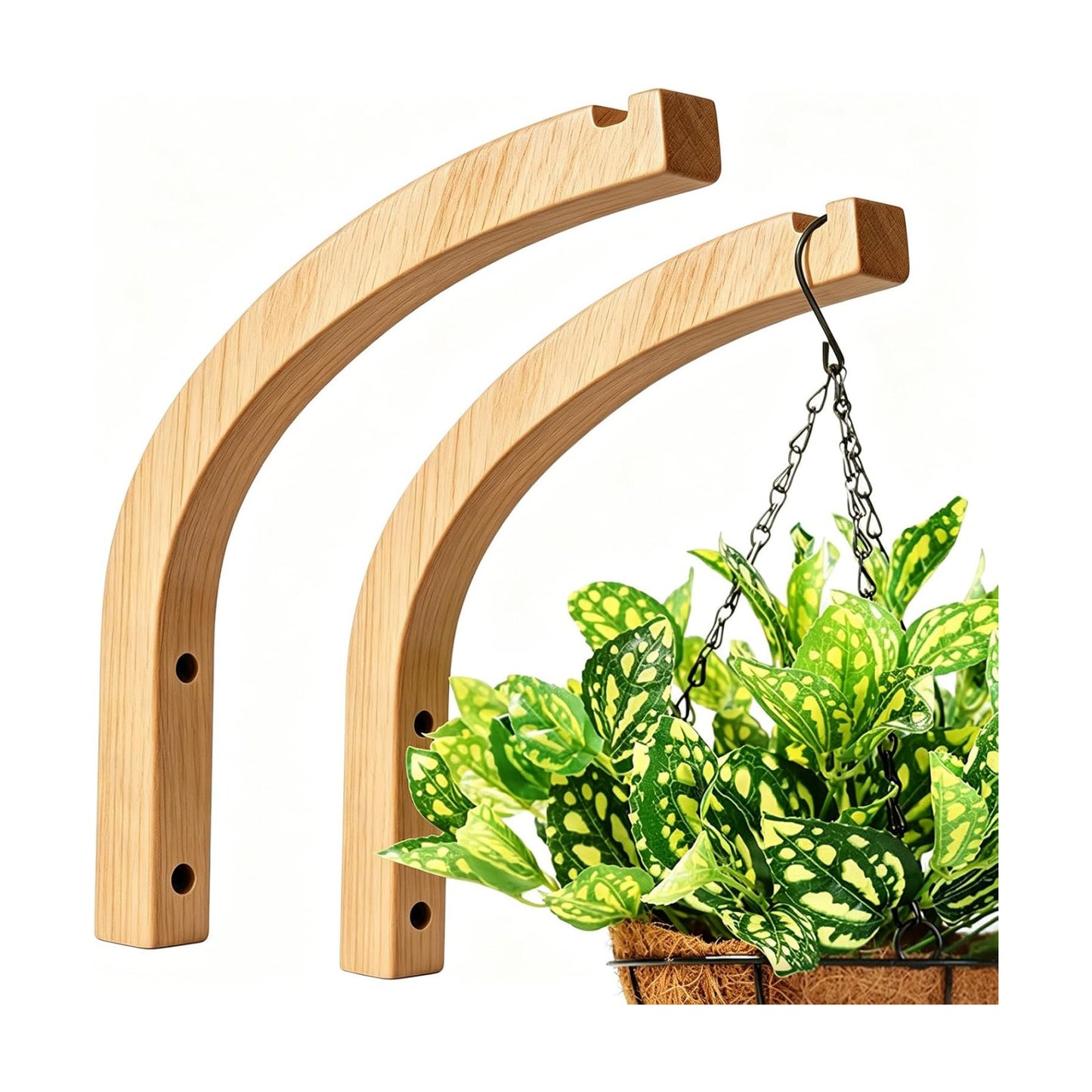 Wooden Plant Hangers / 1-arc Style / Set of 2