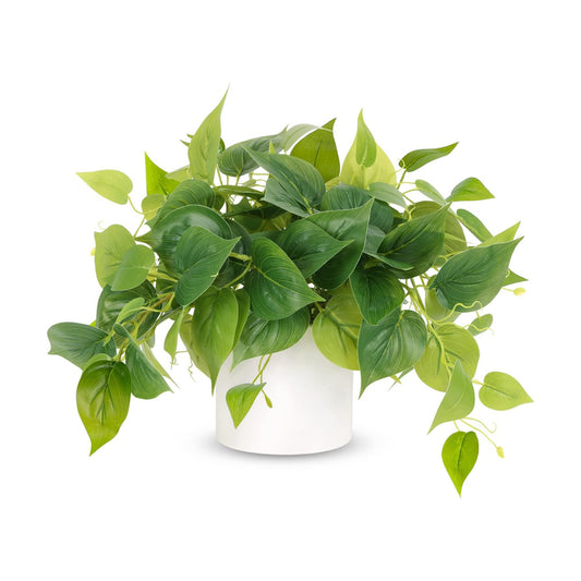 Faux Plants Indoor / White Ceramic Pot