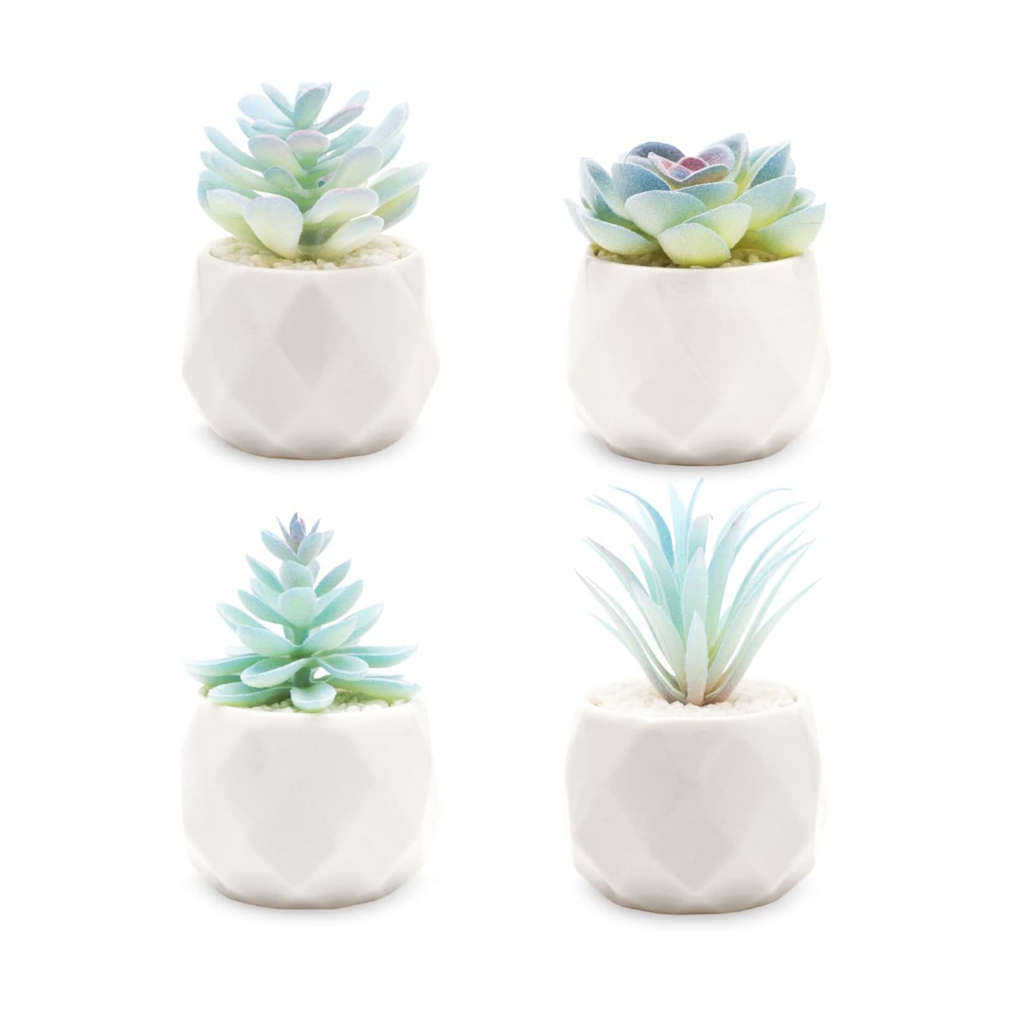 Mini Artificial Succulent in Pots Fake Plants / Blue / Ceramic