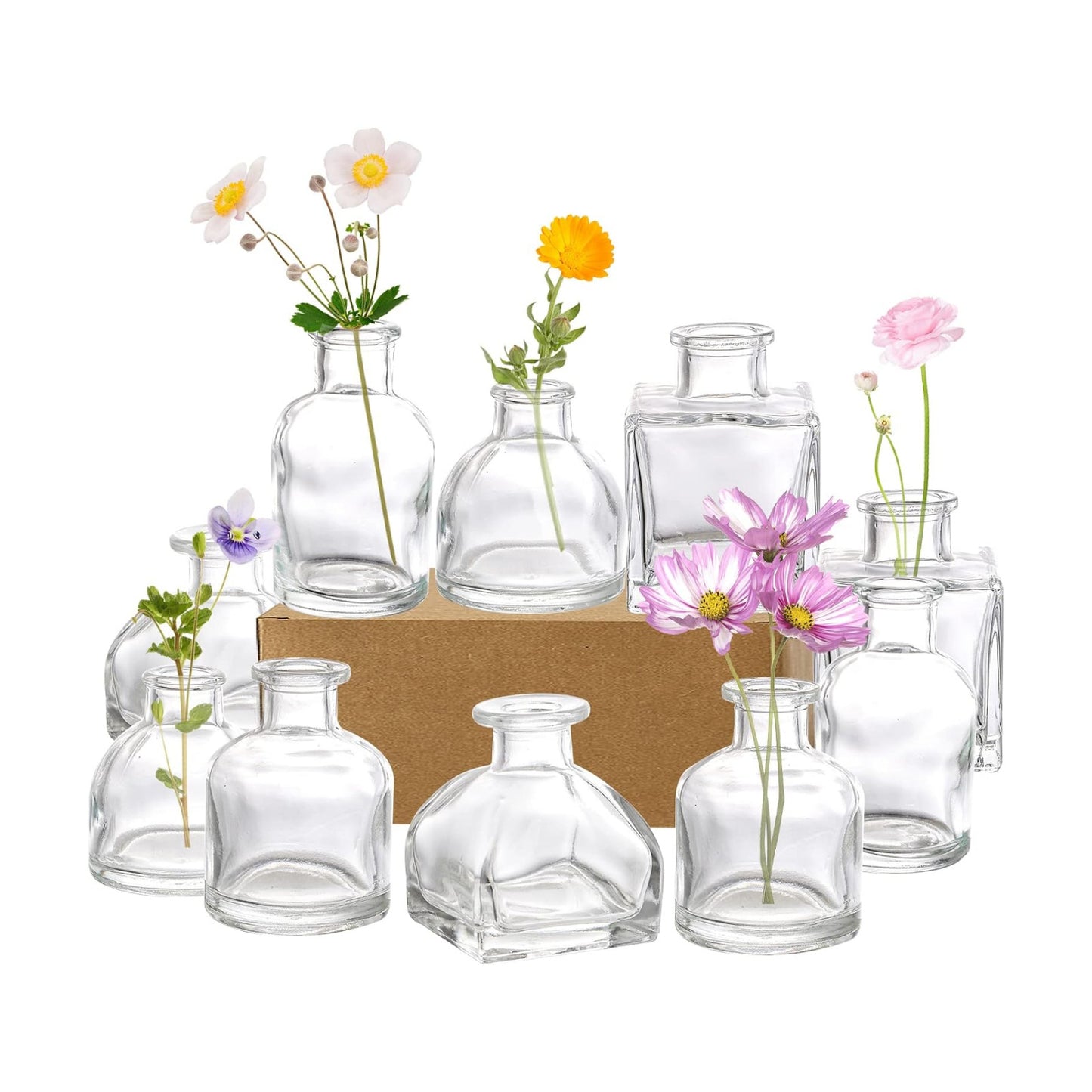 Glass Bud Vases / Clear / Set of 10